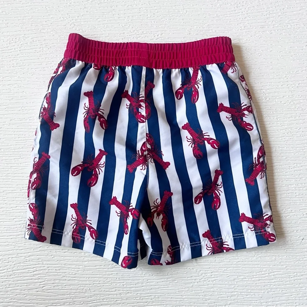 Cat & Jack Wonder Nation Toddler Swim Trunk Bundle 3T